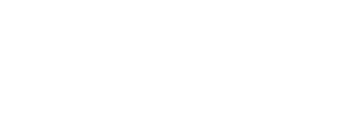 我家老爺糯米飯
